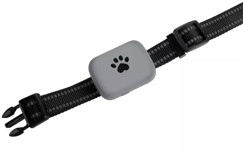 Coleira Com GPS para Cães e Gatos Longa Distância