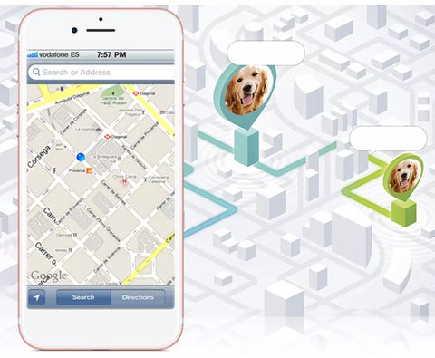 Coleira Com Gps Para Pets Precisão e Rapidez