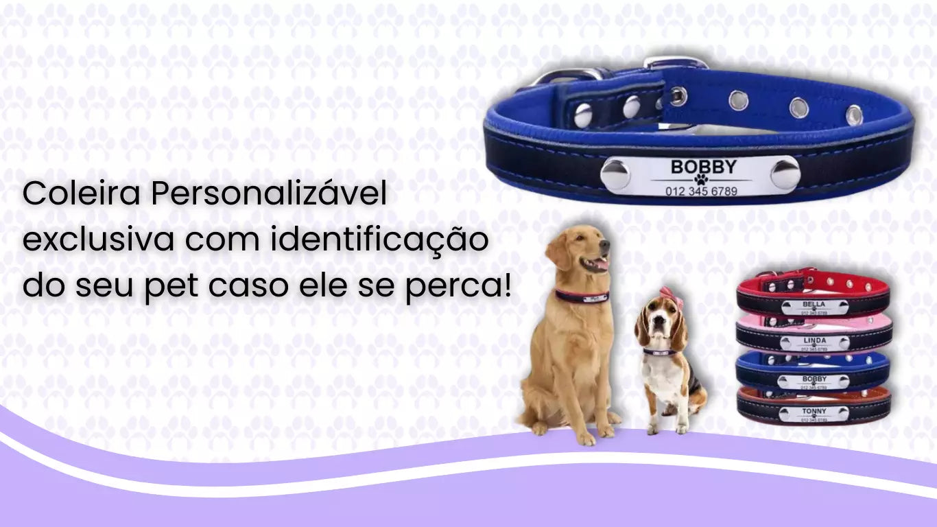 Coleira para Cães e Gatos Personalizável