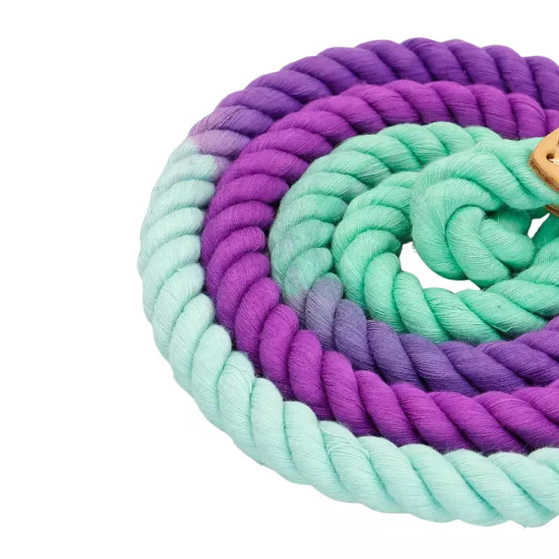 Guia Pet Candy Colors - Movimento Pet