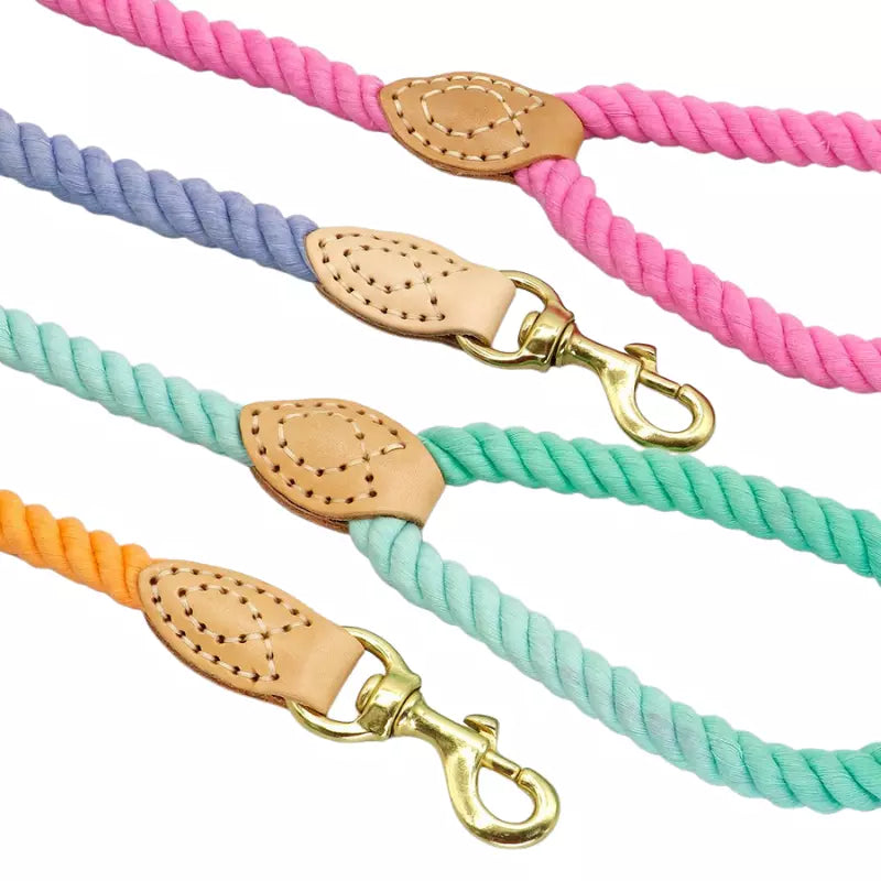 Guia Pet Candy Colors - Movimento Pet