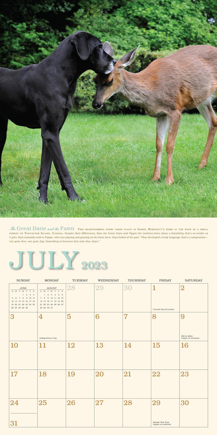 download-unlikely-friendships-wall-calendar-2020-full-book