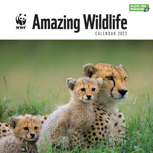 Buy World Wildlife Fund Calendars Online & Instore