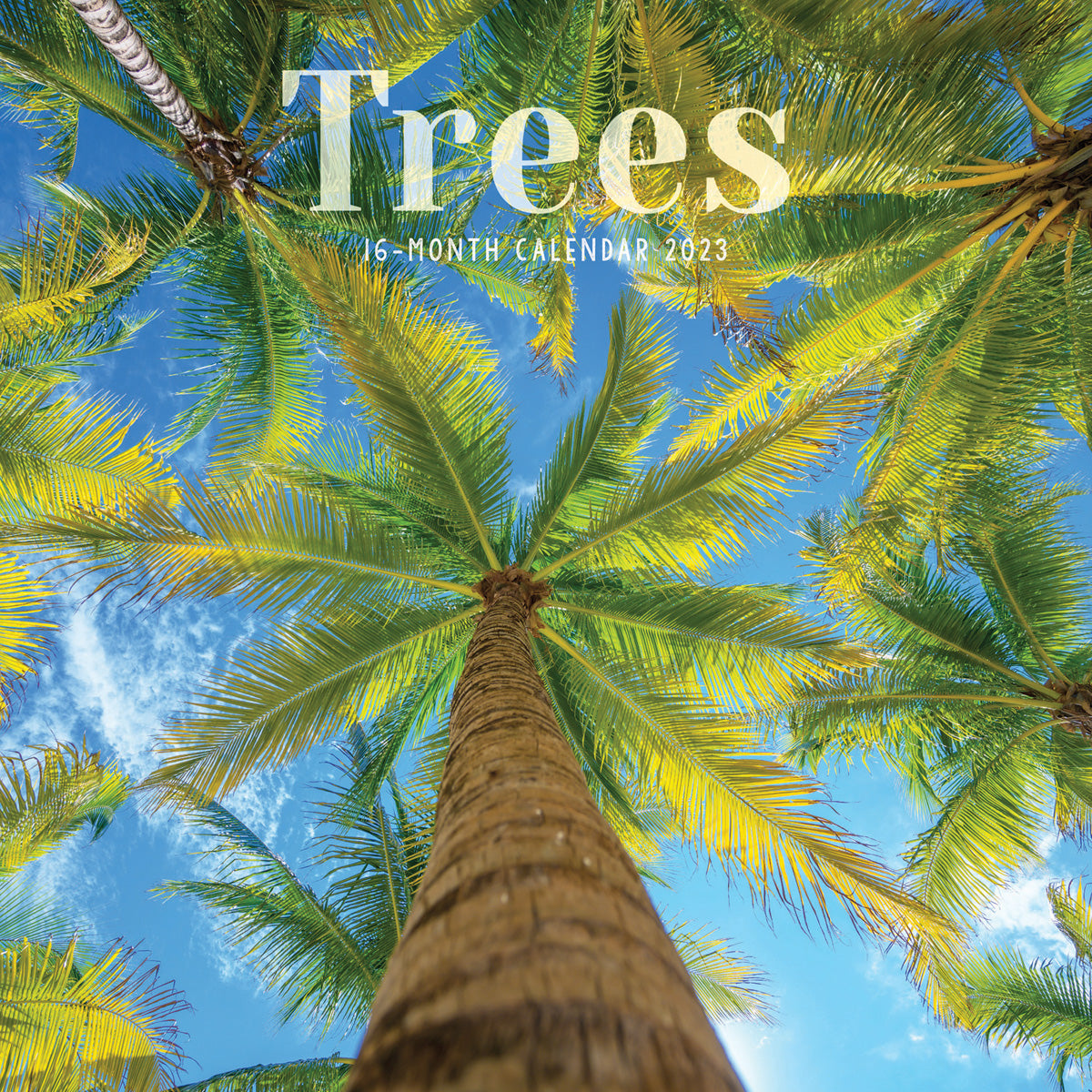 Trees 2023 Square Wall Calendar