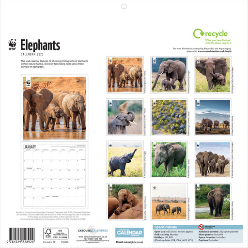 Buy World Wildlife Fund Calendars Online & Instore