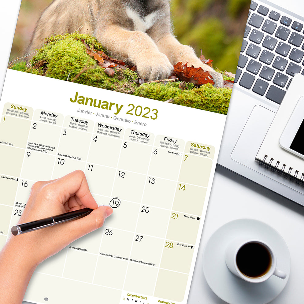 Irish Wolfhound 2023 ONLINE EXCLUSIVE Square Wall Calendar