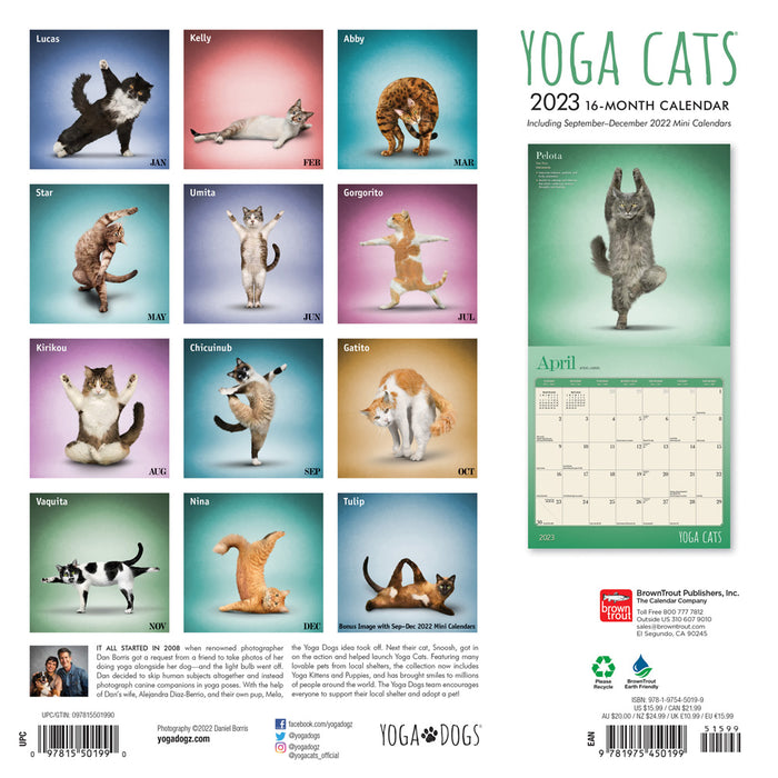 Yoga Cats 2023 Square Wall Calendar