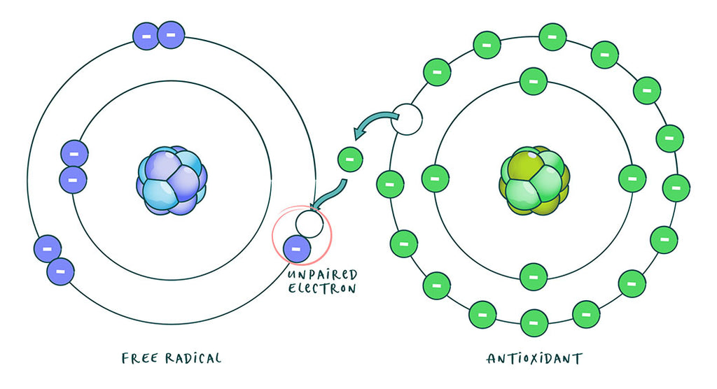 free radicals, unpaired electron, and antioxidants