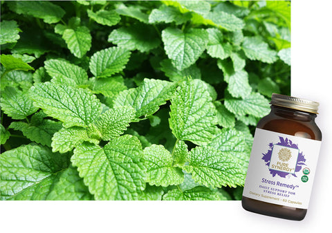 Bottle of Stress Remedy with a picture of lemon balm leaves.