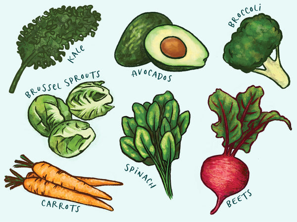 illustrated image of: kale, brussel sprouts, avocados, broccoli, carrots, spinach, beets