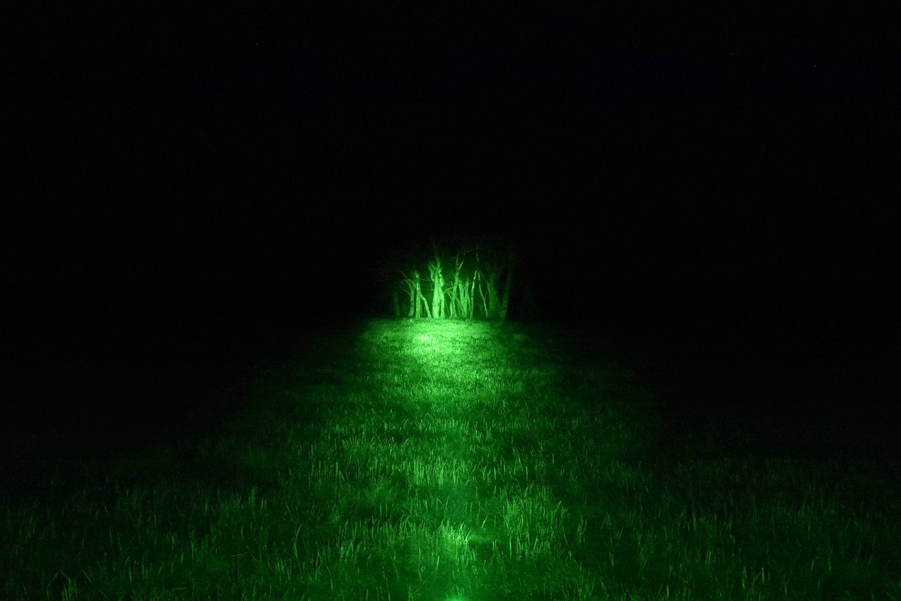 Green Filter Beamshot