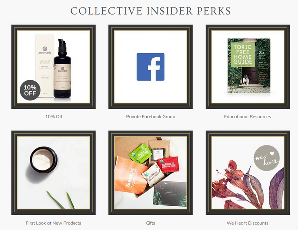 BECOME A COLLECTIVE INSIDER  Subscription Model