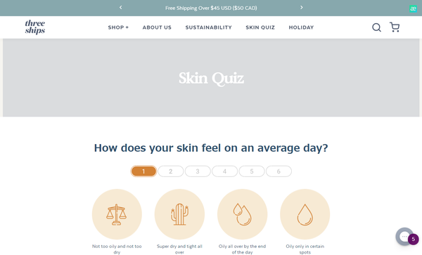  Skin Quiz - Find The Right Natural Skin Care Product For You_ - www.threeshipsbeauty.com.png
