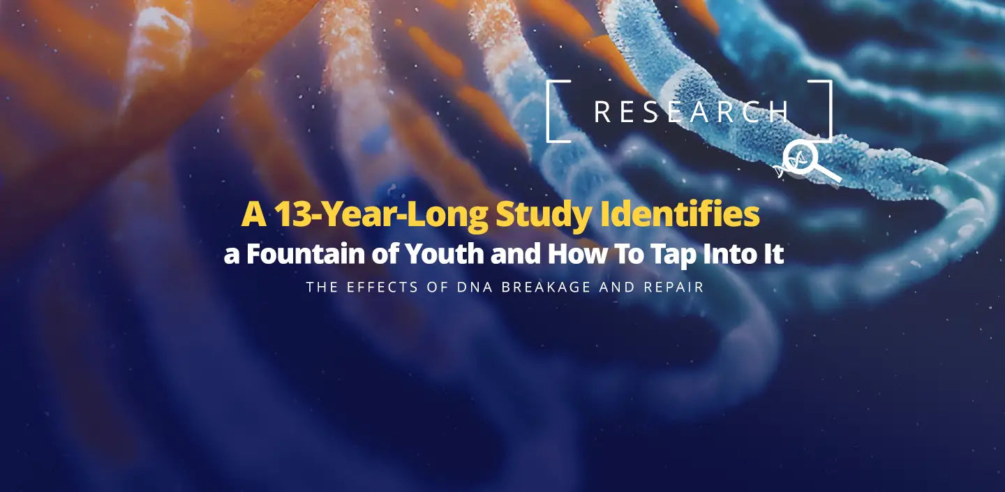A 13-Year-Long Study Identifies a Fountain of Youth, study on epigentic aging and dna damage on mice and a way to reverse it.