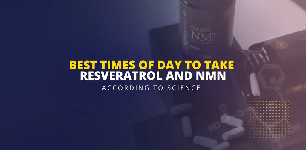 when to take nmn and resveratrol, what is the best time to take resveratrol and nmn