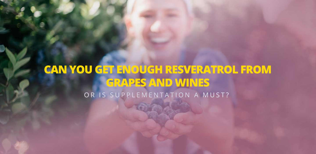 Resveratrol in grapes and what wine with highest resveratrol. Woman holding grapes.