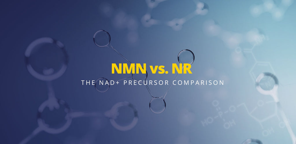 NMN vs NR - The NAD+ Precursor comparison. Image of molecules.