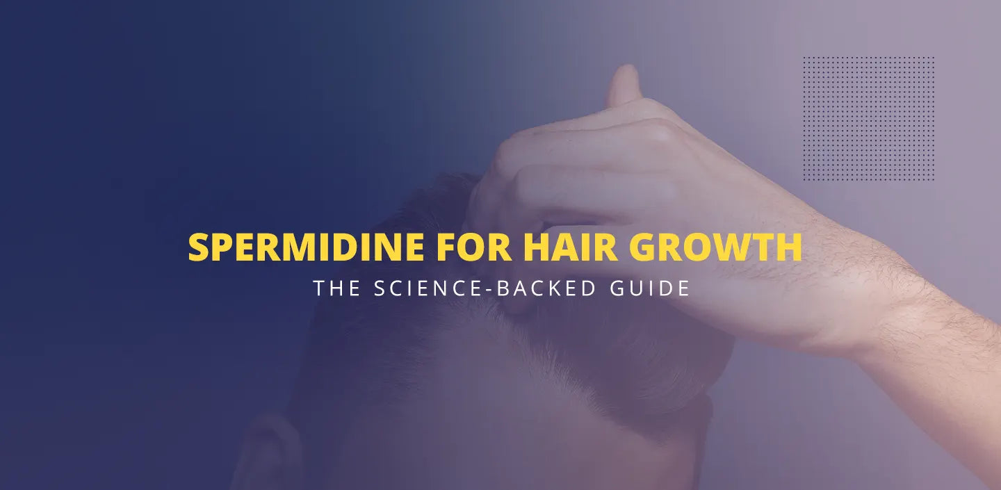 Spermidine for hair growth