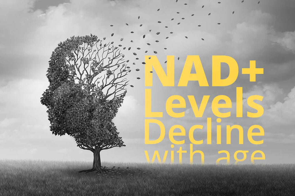 Nad+ levels decline with age, do you need to boost nad levels. What can you expect when boosting nad levels?