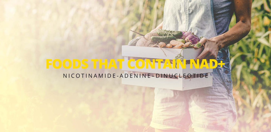 foods rich in nad+, women holding basket of fresh organic vegetables