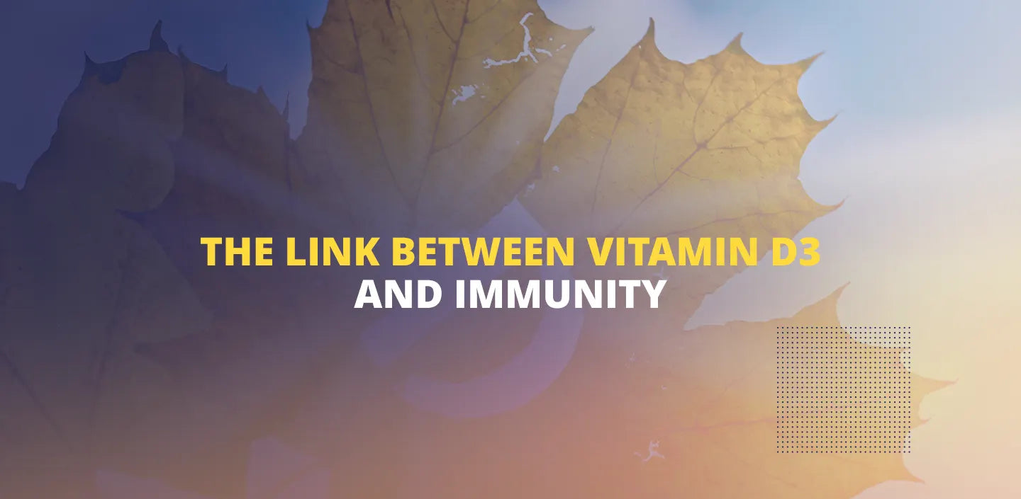 The link between vitamin d and immune system. Can it help increase immunity?