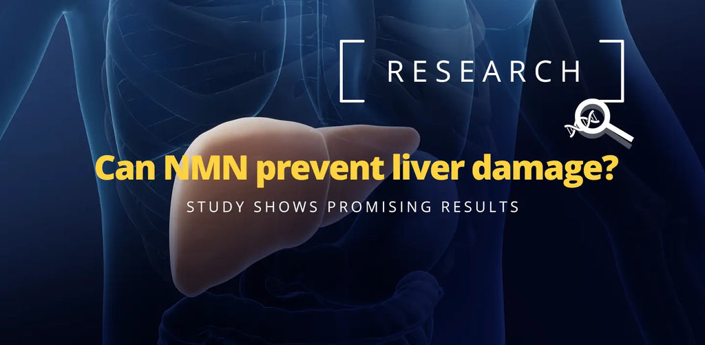 nmn liver damage, nmn supplementation shows promising results against liver damage.