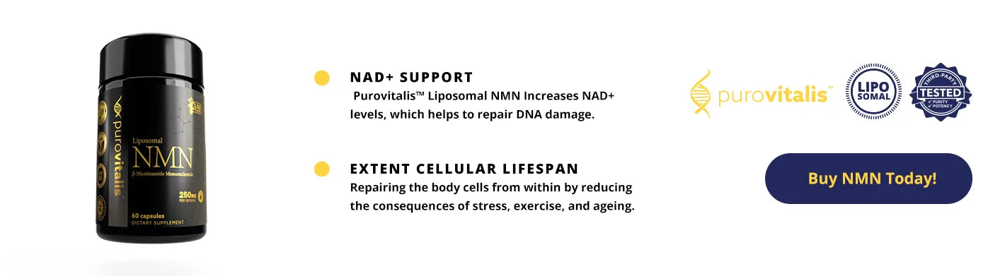 Purovitalis NMN Capsules, nad booster supplement.