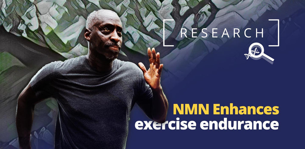 Middle Age Man running, NMN enhances exercise endurance.
