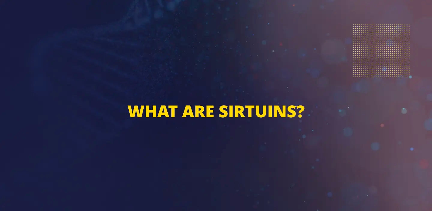 What are sirtuins and why are they important for longevity