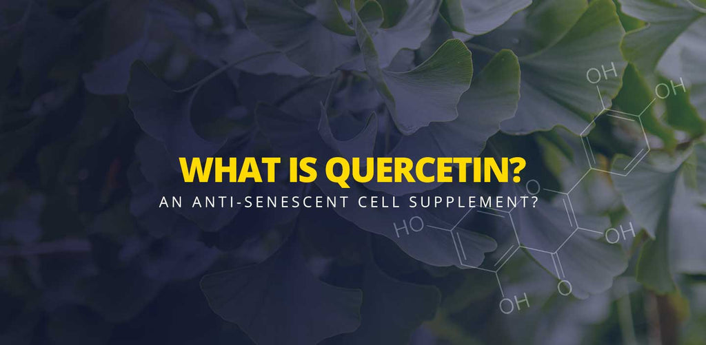 What is Quercetin? What are the benefits and side effects?
