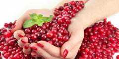 Cranberry ou Canneberge bienfaits