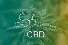 cbd bienfaits