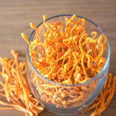 cordyceps en gélules