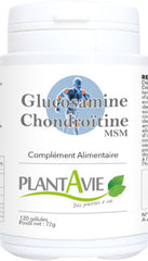 glucosamine chondroitine msm pour les articulations