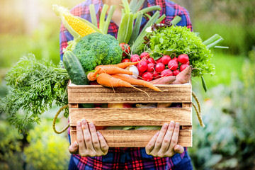 Légumes qui ne font pas grossir