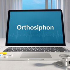 Orthosiphon teinture mère douleurs articulaires