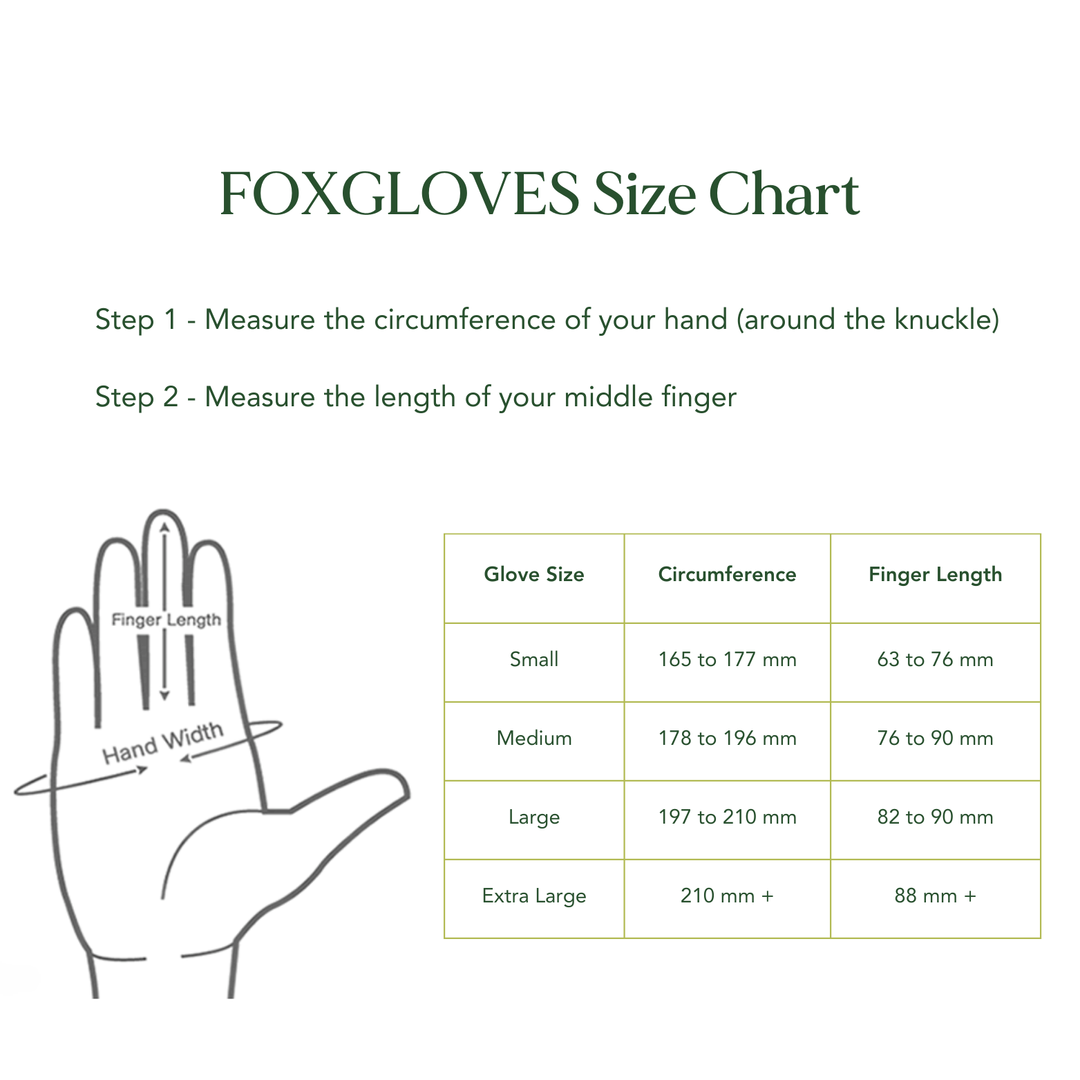 Foxgloves size chart