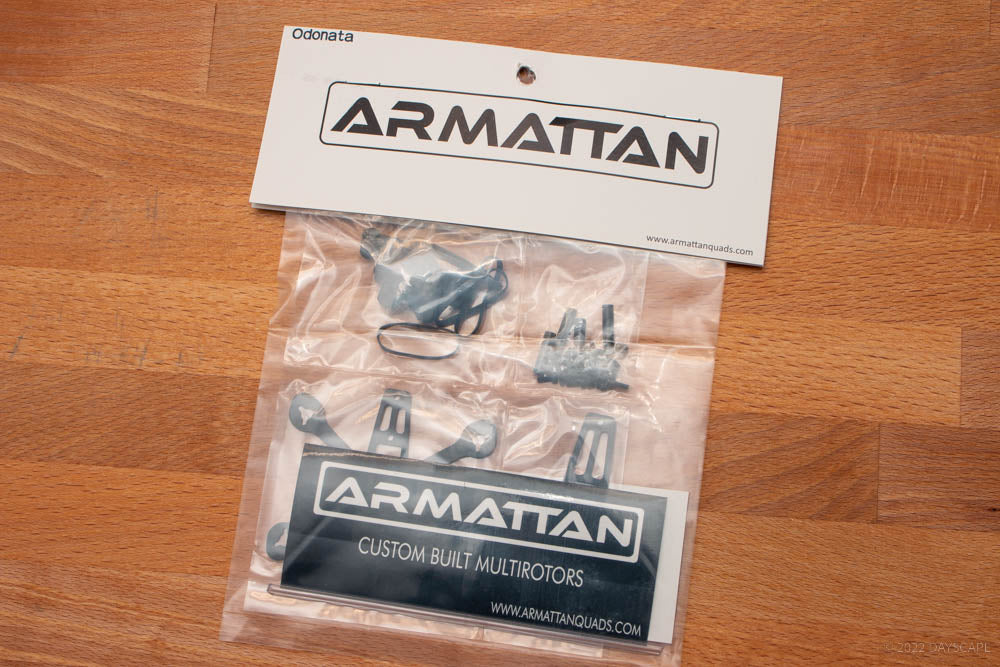 ARMATTAN-ODONATA-01