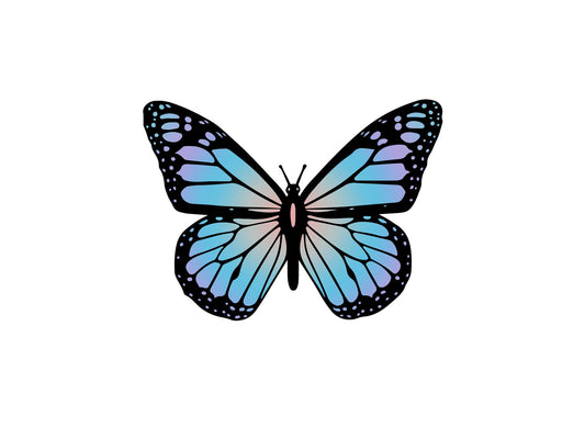 Butterfly Reflective 3M Heat Transfer DECAL STICKERS ONLY 