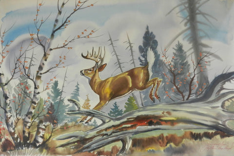 Watercolor of whitetail deer leaping in forest