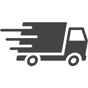 Express Shipping icon