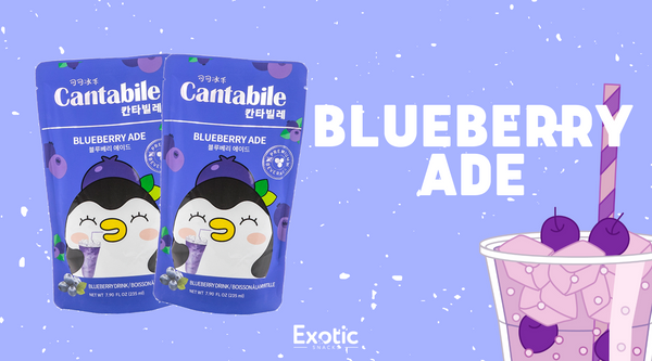 Cantabile Korean Pouch Drink - Blueberry Ade Flavor