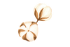 Håndmalet illustration af bomuldsplante