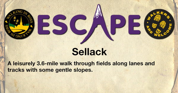 sellack walk