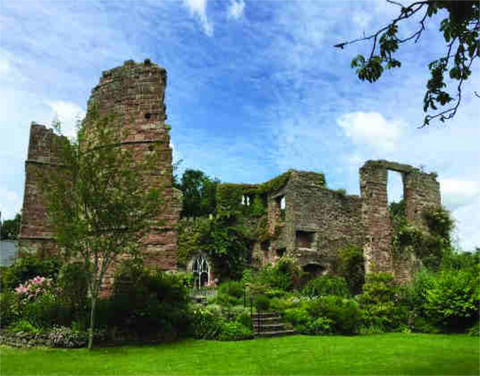 restored ruins of Wilton Castle