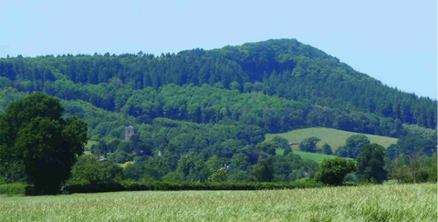 penyard hill