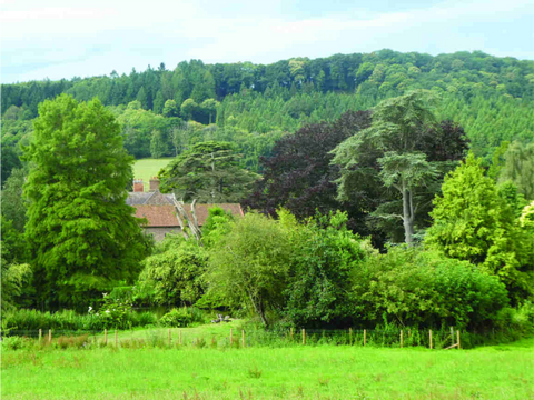 green field by weston hall