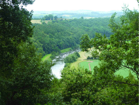River Wye from Viewpoint