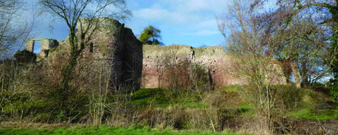 wilton castle