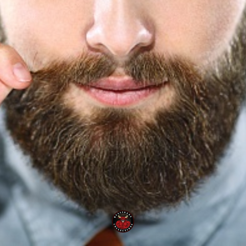 comment enlever les frisottis de votre barbe
